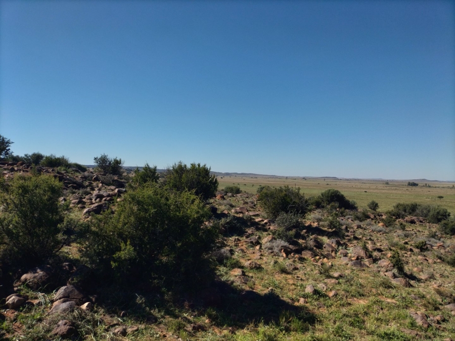 4 Bedroom Property for Sale in Bloemfontein Rural Free State